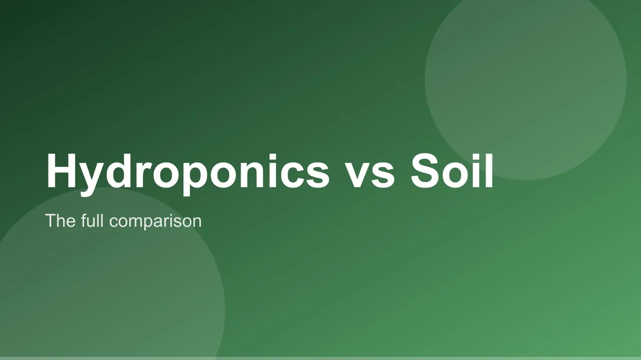 A wick hydroponic jar and a soil pot growing lettuce side by side
